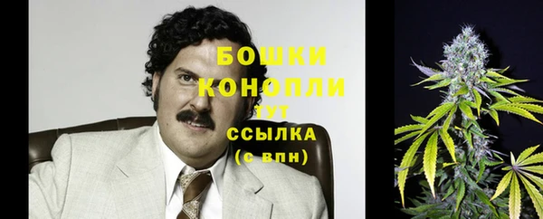 apvp Белокуриха