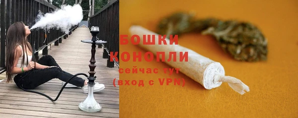 apvp Белокуриха