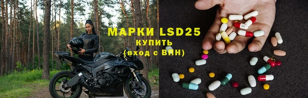 apvp Белокуриха