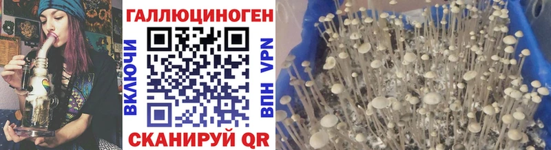цены наркотик  Саяногорск  Галлюциногенные грибы мухоморы 